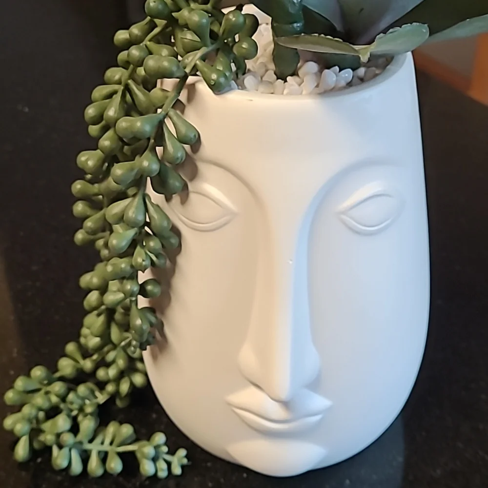 Succulent Face Pot